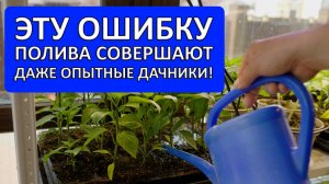 ЭТУ ОШИБКУ ПОЛИВА СОВЕРШАЮТ ДАЖЕ ОПЫТНЫЕ ДАЧНИКИ! (проверьте себя)