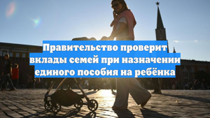 Правительство проверит вклады семей при назначении единого пособия на ребёнка