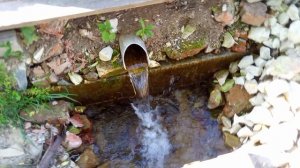 Святой источник у исчезнувшего посёлка Трудовой (Инжавинский район Тамбовской области).