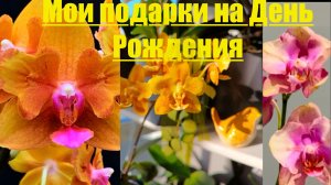 Распаковка САМЫХ красивых ОрХиДеЙ 😻❤️ #орхидеи