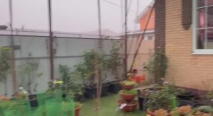 Гуляем и строим планы на день.