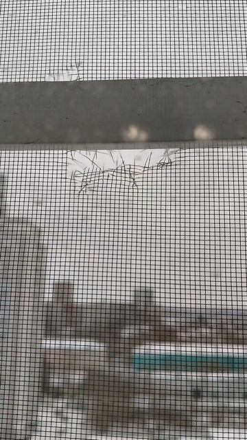 Merry Christmas*̣̥☆·͙̥❄‧̩̥࿌ིྀ྇˟͙☃️˟͙࿌ིྀ྇‧̩̥❄·͙̥̣☆*̣̥ смотреть онлайн