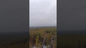 ШОФАР - Исаия 28:14-29, 1Царств 17:37,45-49 🏹🌪️⚔️