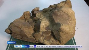 В Кузбассе появится палеонтологическая школа на базе комплекса динозавров в Шестаково
