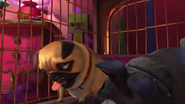 Реальная белка 2 (2017) HD мультфильм, комедия, преступление, приключения, семейный