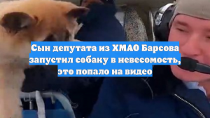 Сын депутата из ХМАО Барсова запустил собаку в невесомость, это попало на видео
