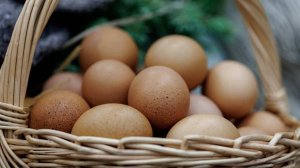 Спор о курицах и яйцах перерос в стрельбу и драку с полицией