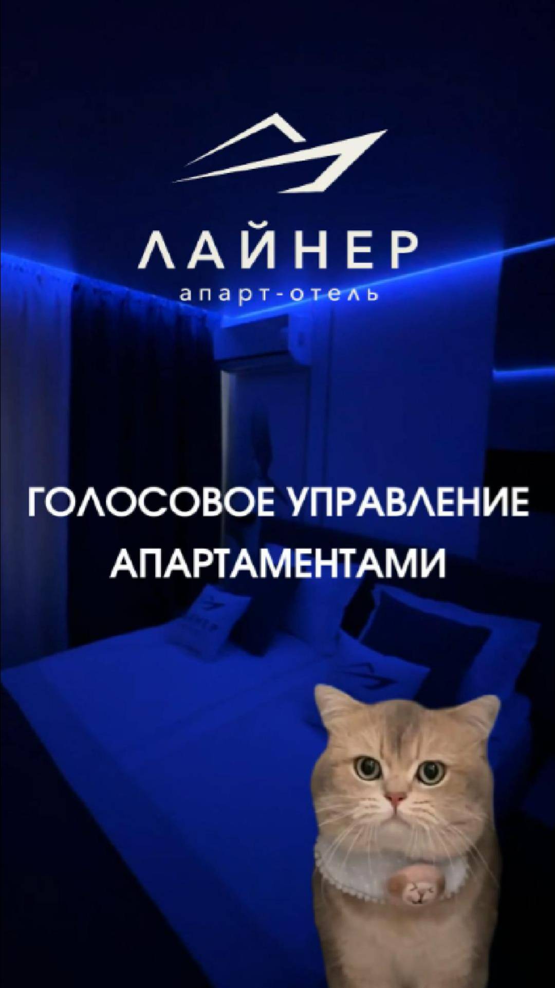 Умное управление апартаментами | апарт-отель "Лайнер" смотреть онлайн