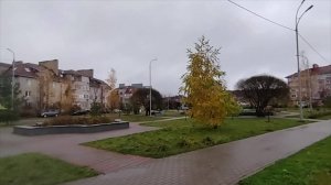 С праздником!/Купила себе лечебное питание/Готовлю на завтрак сырники