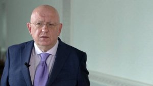 Небензя рассказал о визите вежливости постпреда США при ООН Уолтца