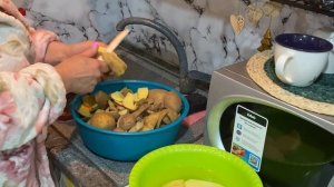 07-11-2025. Собака сошла сума , любимый сад!!!!