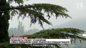 Искусственный интеллект помогает обнаружить и предотвратить пожары на Южнобережье Крыма