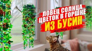 ЛОВЕЦ СОЛНЦА/Цветок в горшке.Делаем вместе