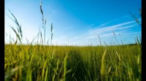 сегодня вдруг штиль