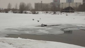 Пять человек утонули на водоемах Новосибирской области с начала осени