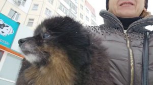 навела ей КРАСОТУ/в МАГНИТЕ НОВЫЙ ГОД/ сидим в потёмках