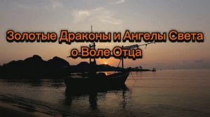 Золотые Драконы и Ангелы Света о Воле Отца 16.10.2025г (169 Послание)