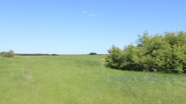 Исчезнувшая деревня Марьино Поле, Турковский район.