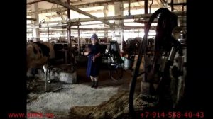 ТранспортнаяСистемаEasyLine