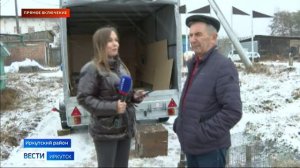 Прямое включение соболи из зверохозяйства «Большереченское» отправляются на Сахалин