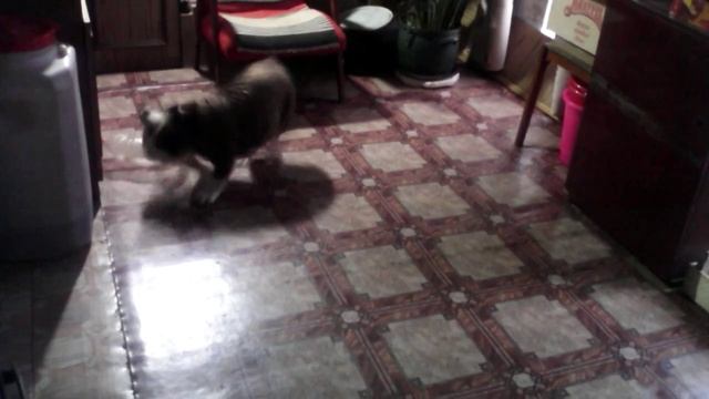 Футболистка... смотреть онлайн