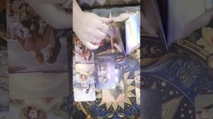 отношения ноябрь водолей