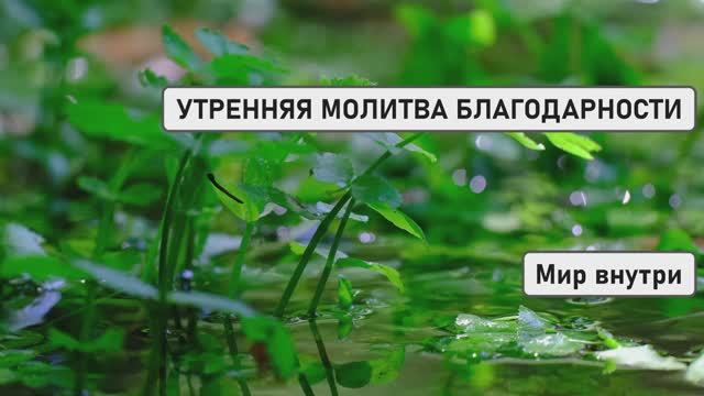 УТРЕННЯЯ МОЛИТВА БЛАГОДАРНОСТИ | Начни Новый День с Чувством Благодарности и Света!