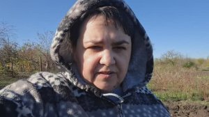 Трубы покрасили. Также посадили лук и чеснок.