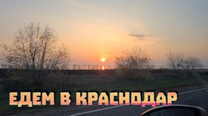 Едем в Краснодар. А хотели в Крым, но не судьба, нашему авто въезд запрещён.