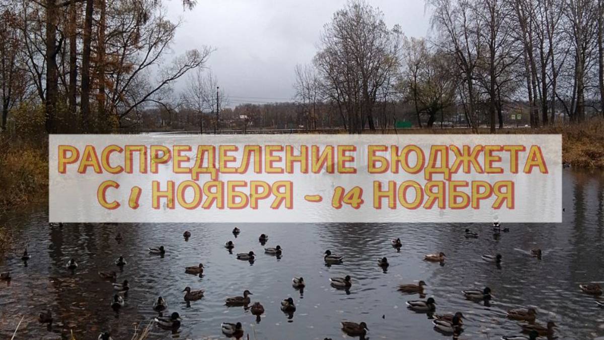 РАСПРЕДЕЛЕНИЕ БЮДЖЕТА НОЯБРЬ ( 1-14 ) смотреть онлайн