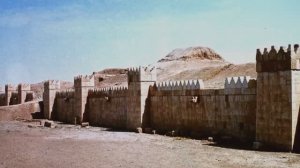 Технологии древних богов, дерево жизни.