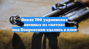 pre_Long_3252163699_combine_video