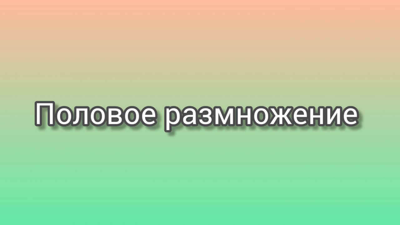 Половое размножение