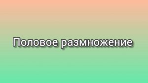Половое размножение