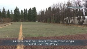 Главные новости Иркутской области, 7 ноября 2025 года