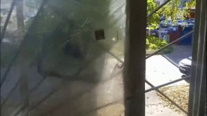 Квартира 145 Чертановская 2025