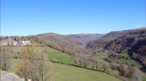 Autumn Leaves in Auvergne