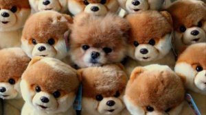 Мастера МАСКИРОВКИ ! (1)