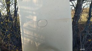 Отстрел патрона Сибирь-5ки б.к. на порохе К2. Stoiger M 3000 M3K