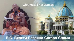 07.11.2025 || Шримад Бхагаватам 11.3.29 || Е.С. Бхакти Расаяна Сагара Свами