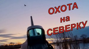 В краю лебедей: Охота на пролетную утку