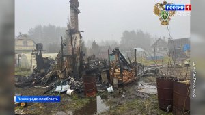 Местное время. Санкт-Петербург от 07.11.2025