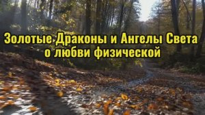 Золотые Драконы и Ангелы Света о любви физической 15.10.2025г (168 Послание)