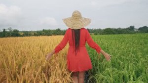 DNDM, Umar Keyn - I Give Up