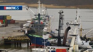 Развитие рыбной отрасли. Новый завод на Шикотане переработал 26 тысяч тонн рыбы с момента открытия