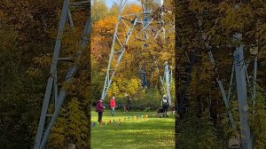 ВЕО Валентлайф Фуджиминори, 4 года, Соревнования на КСС Варяг 11.10.2025г.   Рядом