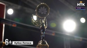 В Элисте пройдет ежегодный международный турнир боевых искусств «Кубок Лотоса»