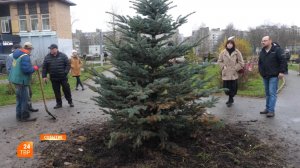 Колючая красавица