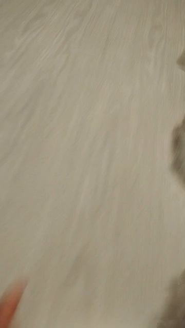 Мой новый котёнок! смотреть онлайн