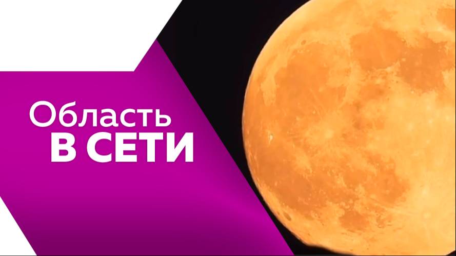 Область в сети №323